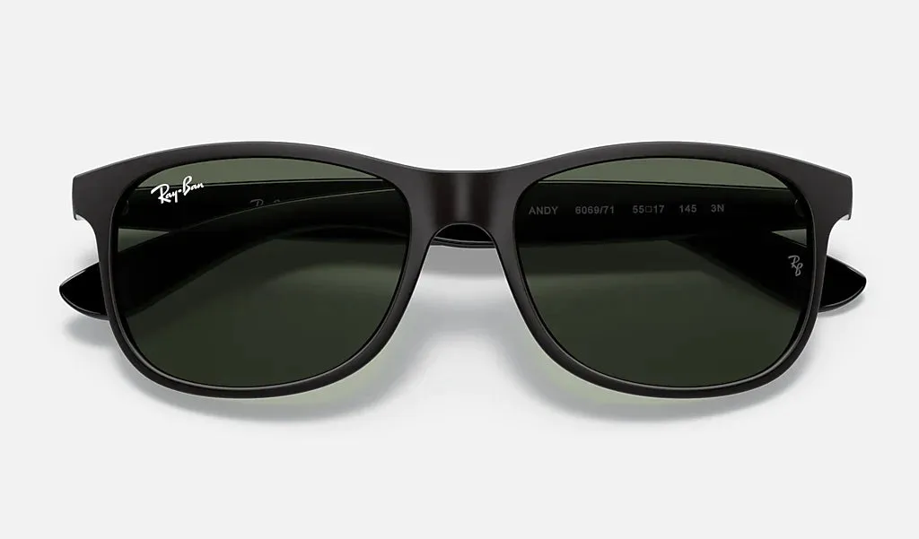 Ray-Ban ANDY RB4202 606971 55mm Black/Gray-Green